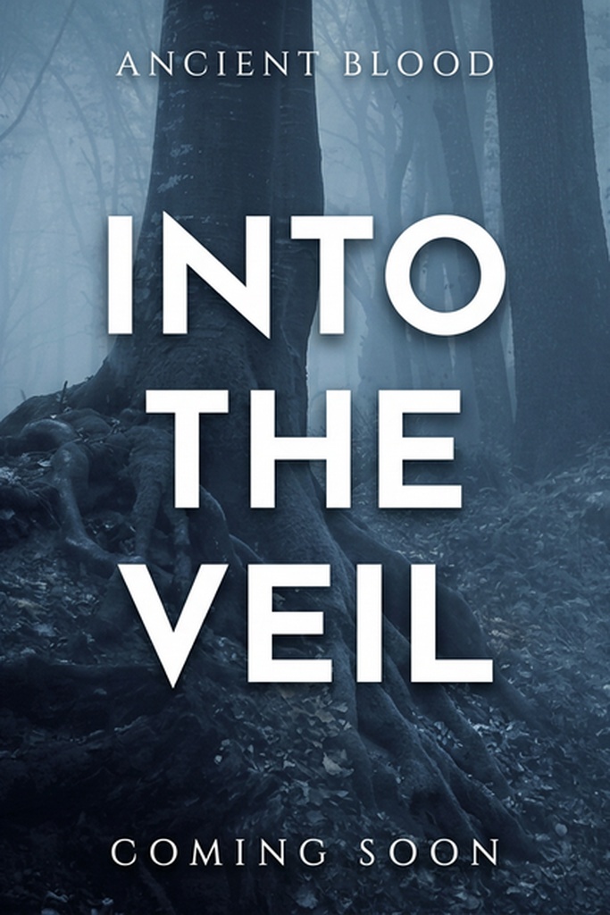 Into the Veil Book Cover